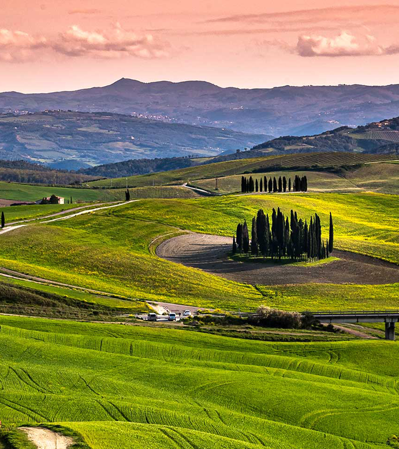 Grüne Hügel, Zypressenreihen, Wege und rosa Himmel.