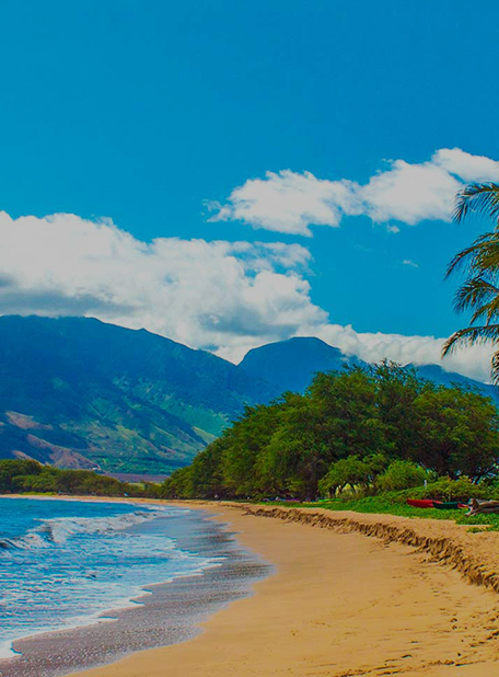 Strand mit Wellen, grünen Bäumen und fernen Bergen.