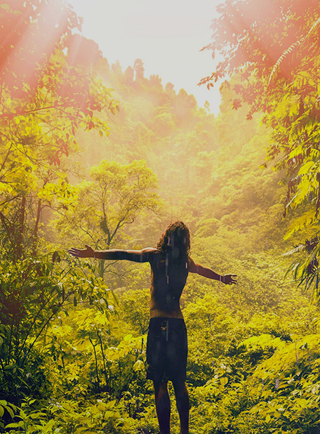 Person mit ausgestreckten Armen im hellen, üppigen Wald.