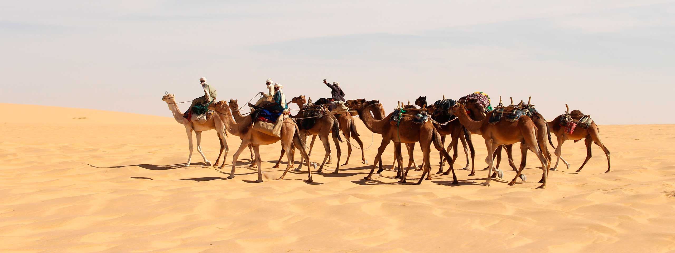 Karawane mit acht Kamelen, Reitern und Lasten in der Wüste.