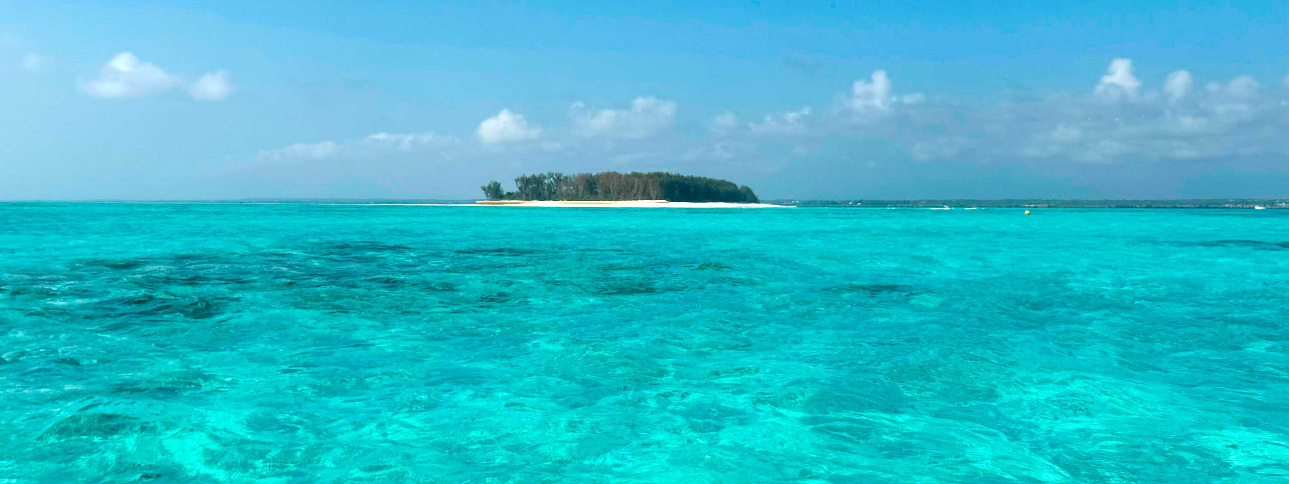 Türkises Meer, bewaldete Insel, Sandstrand, blauer Himmel.